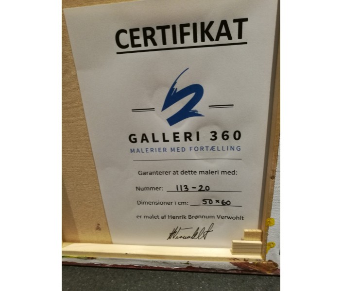 113-20 